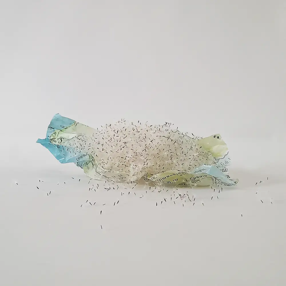 APNEA 08